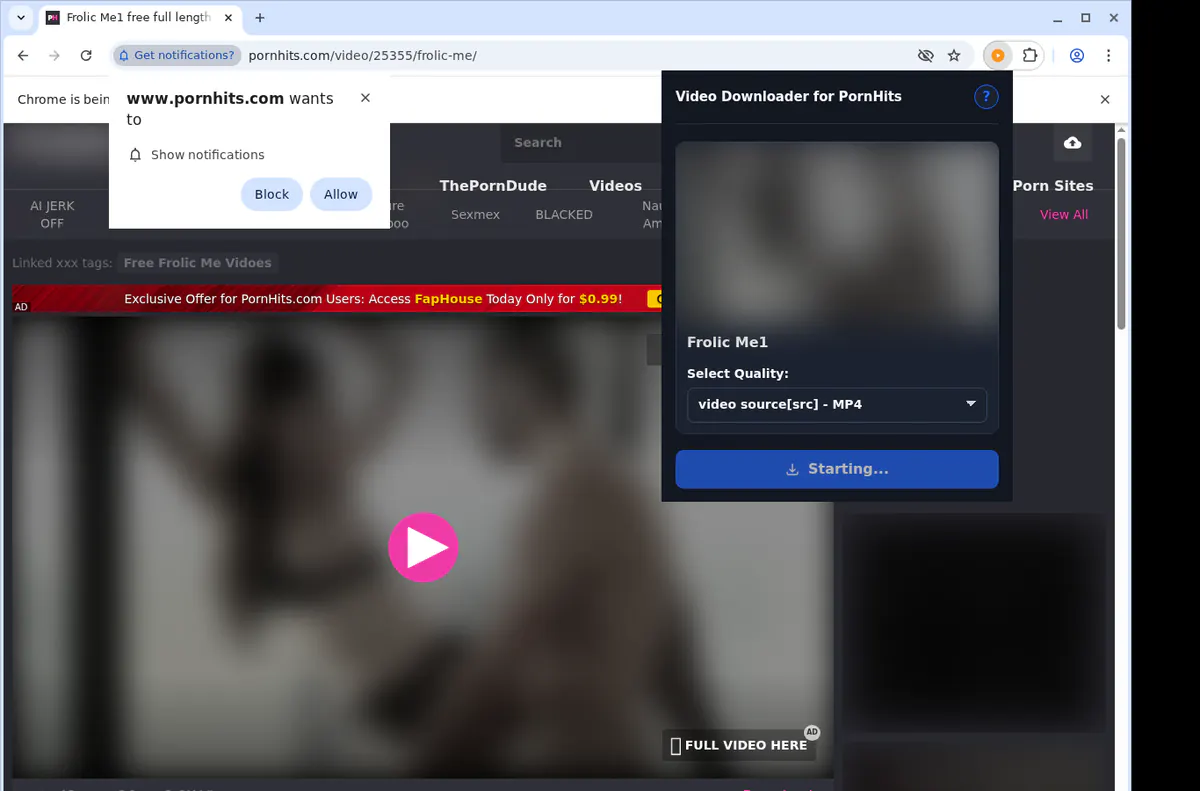 Pornhits Video Downloader screenshot 2