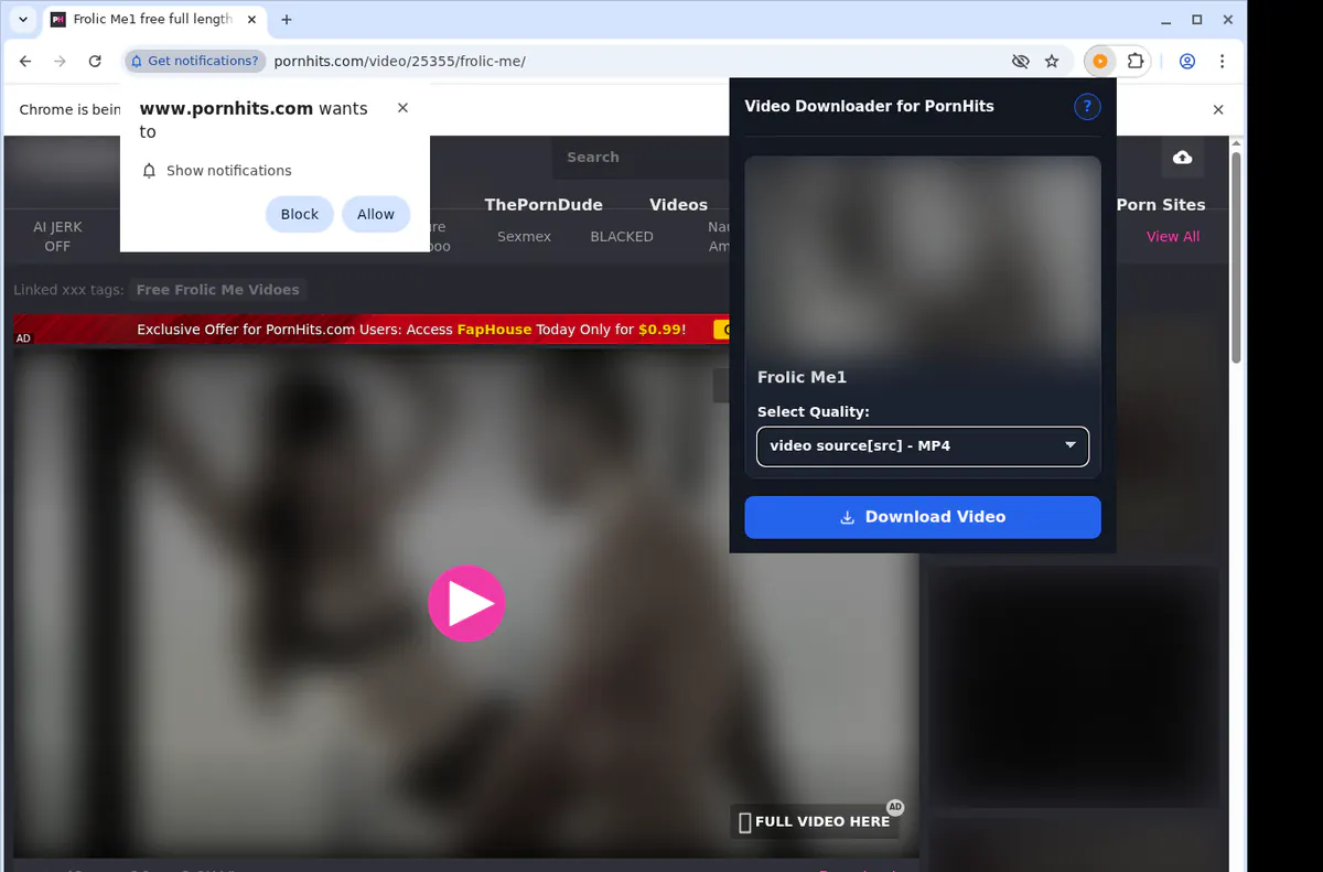 Pornhits Video Downloader screenshot 3